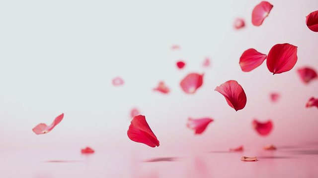 花市摊主将落下的花瓣晾在报纸上 视频封面